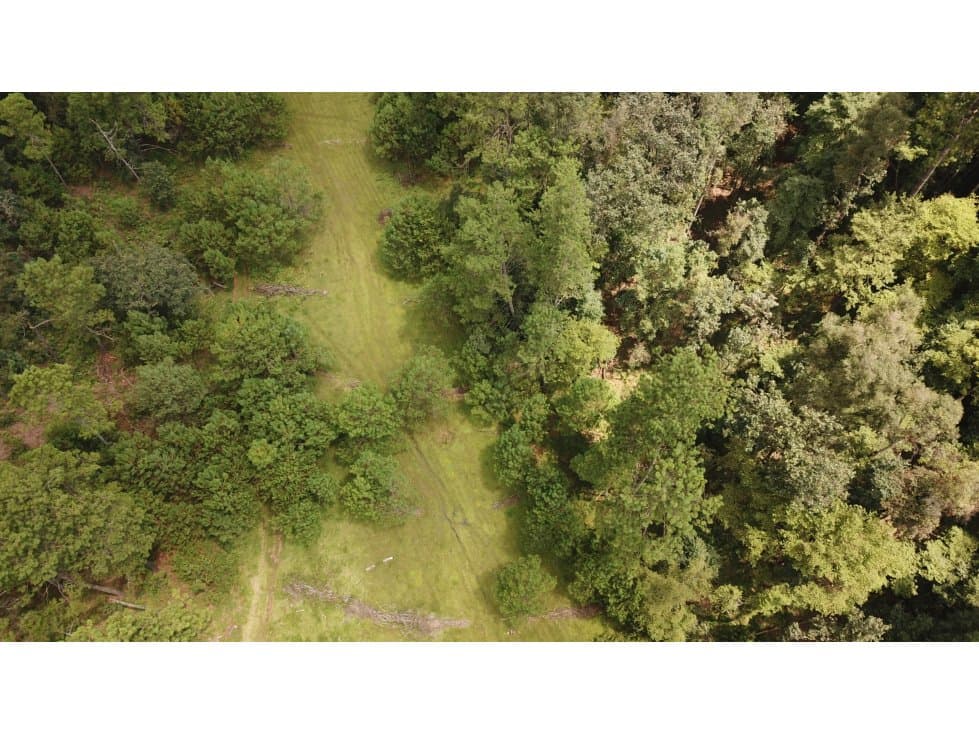 TERRENO PINAL DE OSORIO — foto 4