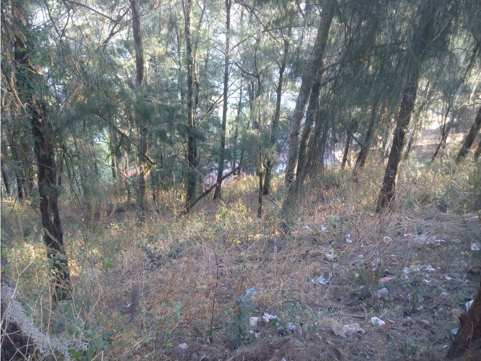 TERRENO VISTA AL LAGO LA PEÑA — foto 5