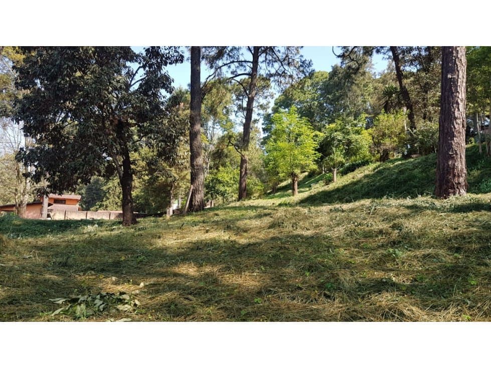 VENTA DE TERRENO EN AVANDARO — foto 6