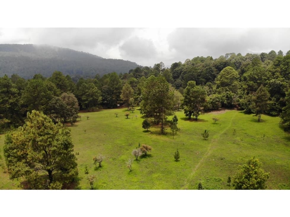 RANCHO SAN JOSE POTRERILLOS — foto 5