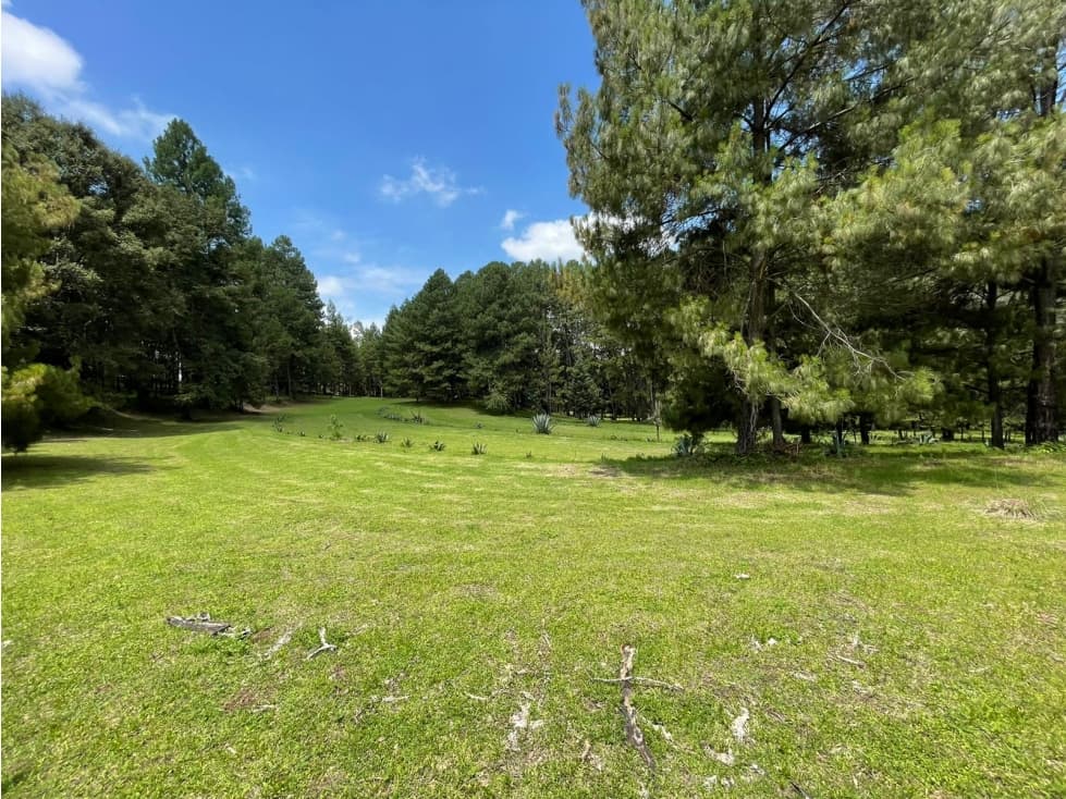 TERRENO CON RÍO EN VENTA EN SAN SIMÓN — foto 5