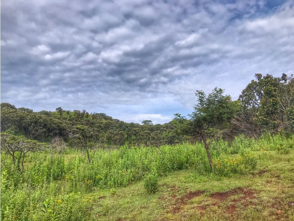 TERRENO EN VENTA, LA BOQUILLA, VALLE DE BRAVO — foto 2