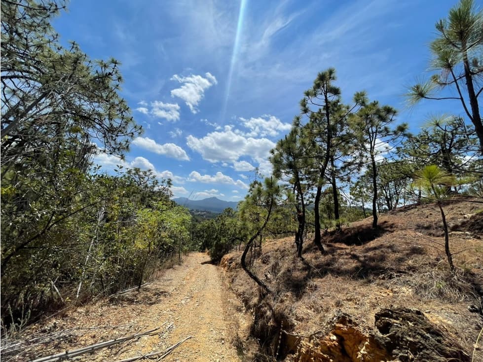 6 HECTÁREAS CERCA DE ACATITLÁN — foto 6