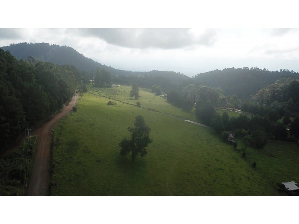 TERRENO MESA RICA — foto 5
