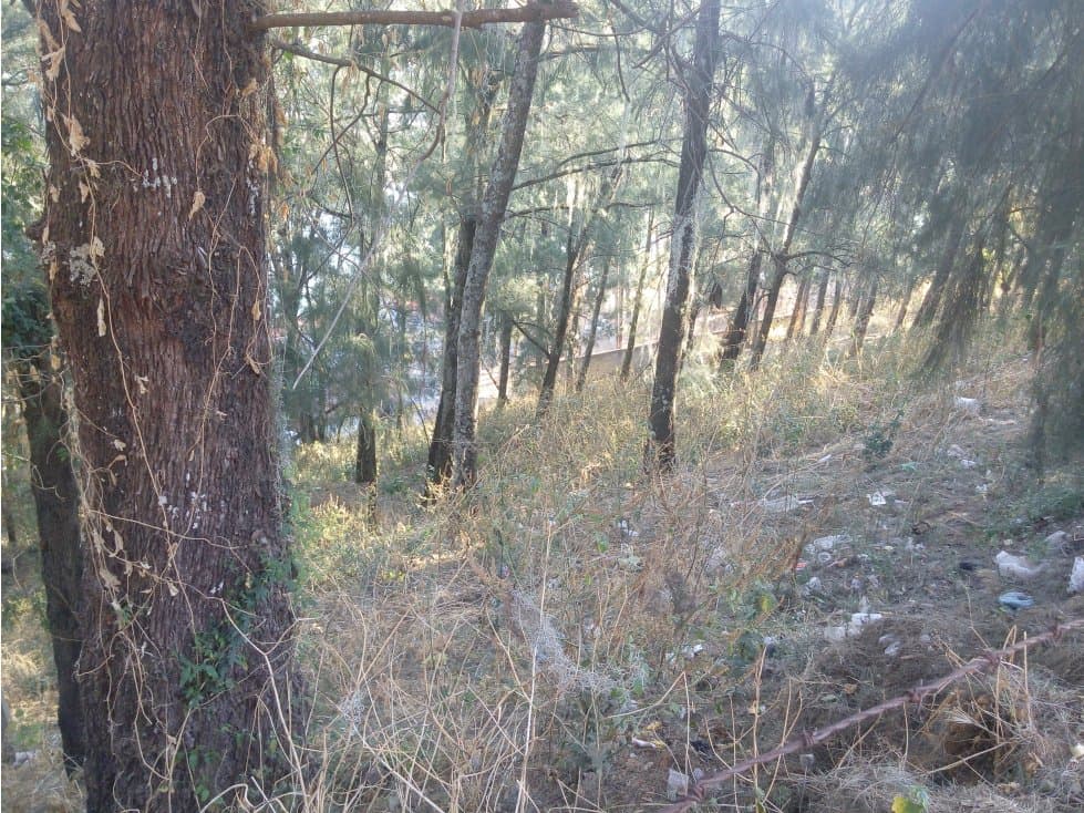 TERRENO VISTA AL LAGO LA PEÑA — foto 6