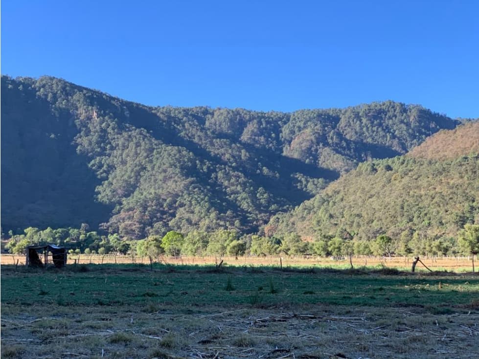 TERRENO EN VENTA, SAN JUAN ATEZCAPAN, VALLE DE BRAVO — foto 5