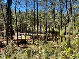 TERRENO EN VENTA CERRO GORDO