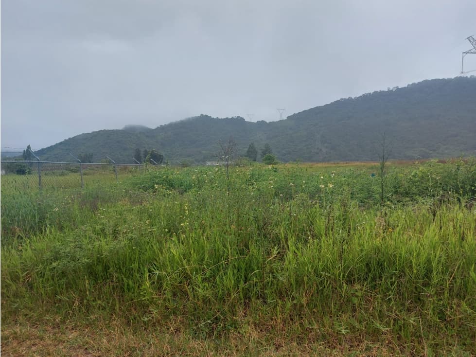 TERRENO EN VENTA TILOXTOC, VALLE DE BRAVO — foto 2