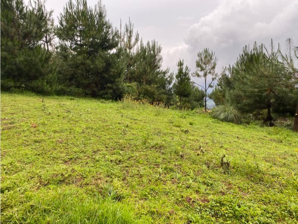 TERRENO LAS MESAS, VALLE DE BRAVO — foto 3