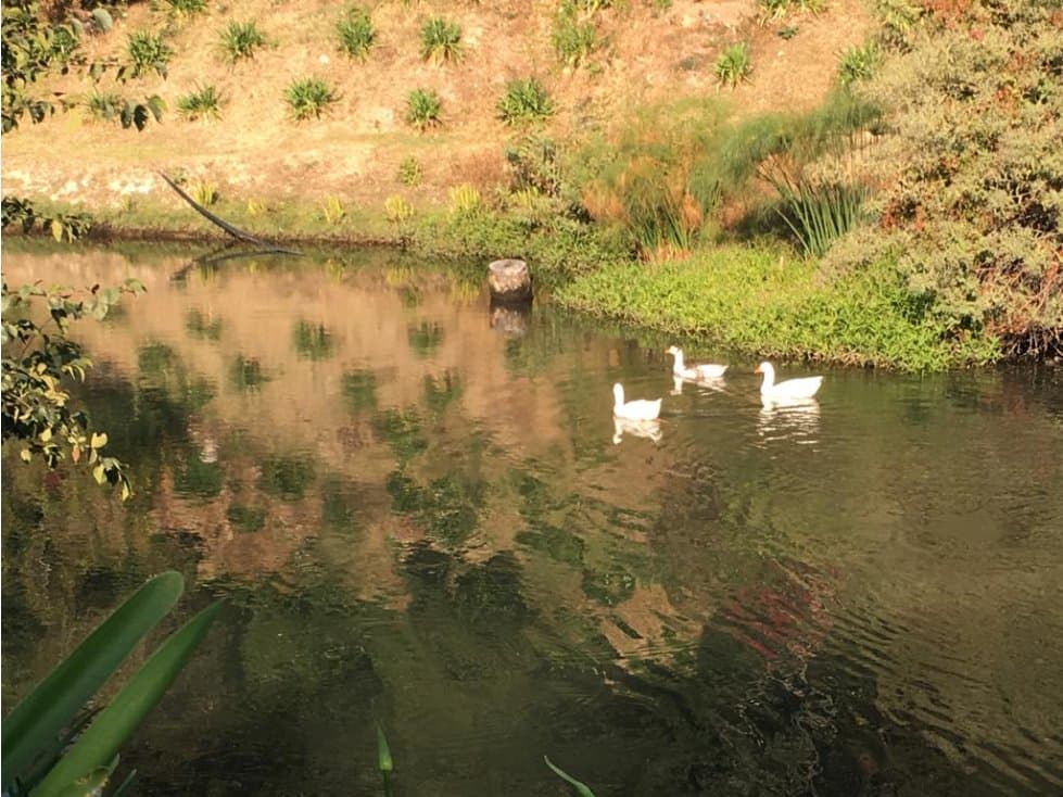 REFUGIO CAMPESTRE — foto 6
