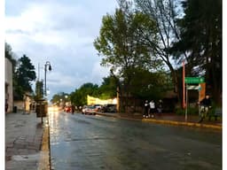 AVENIDA DEL CARMEN