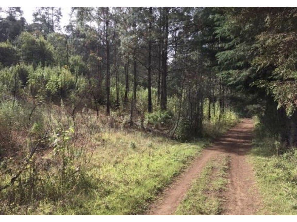 TERRENO LA HUERTA SAN AGUSTIN — foto 1