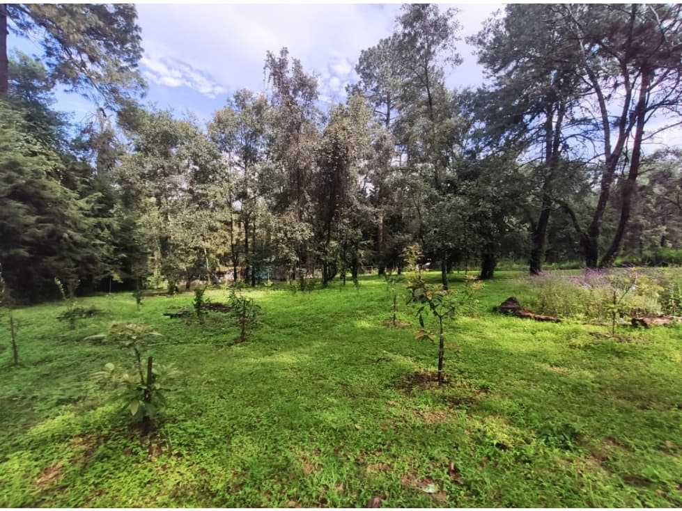 TERRENO EN ACATITLAN — foto 3
