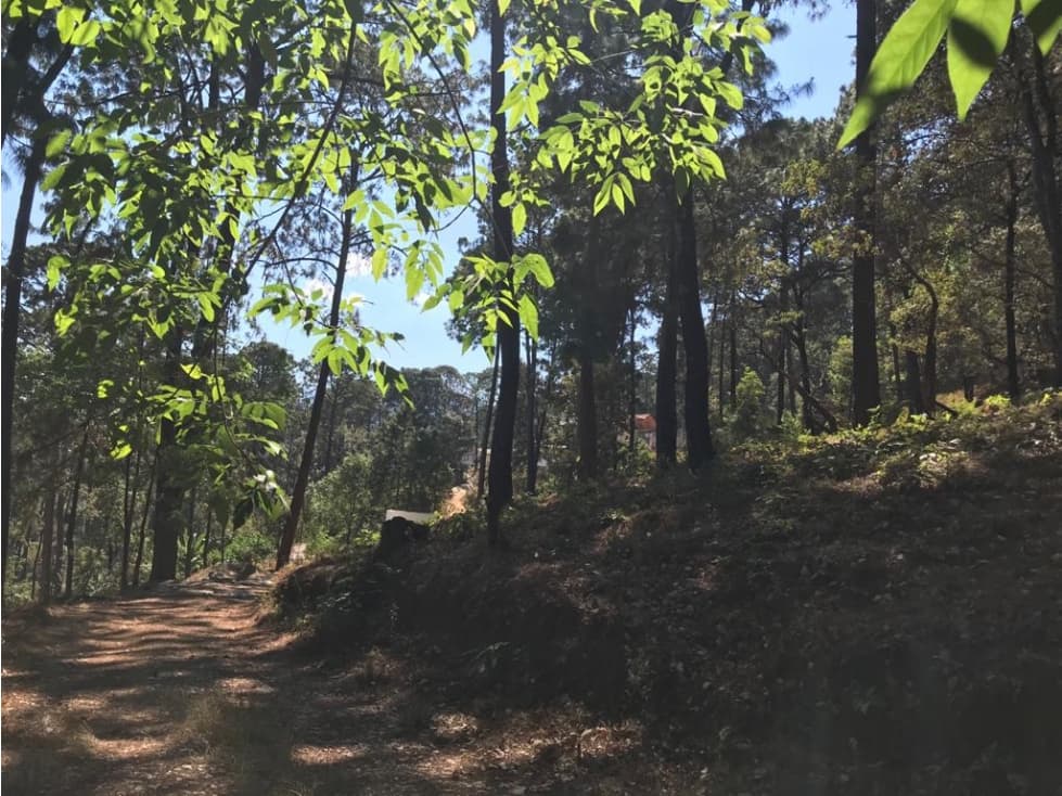 VEGA DE LA MONTAÑA 1 — foto 6