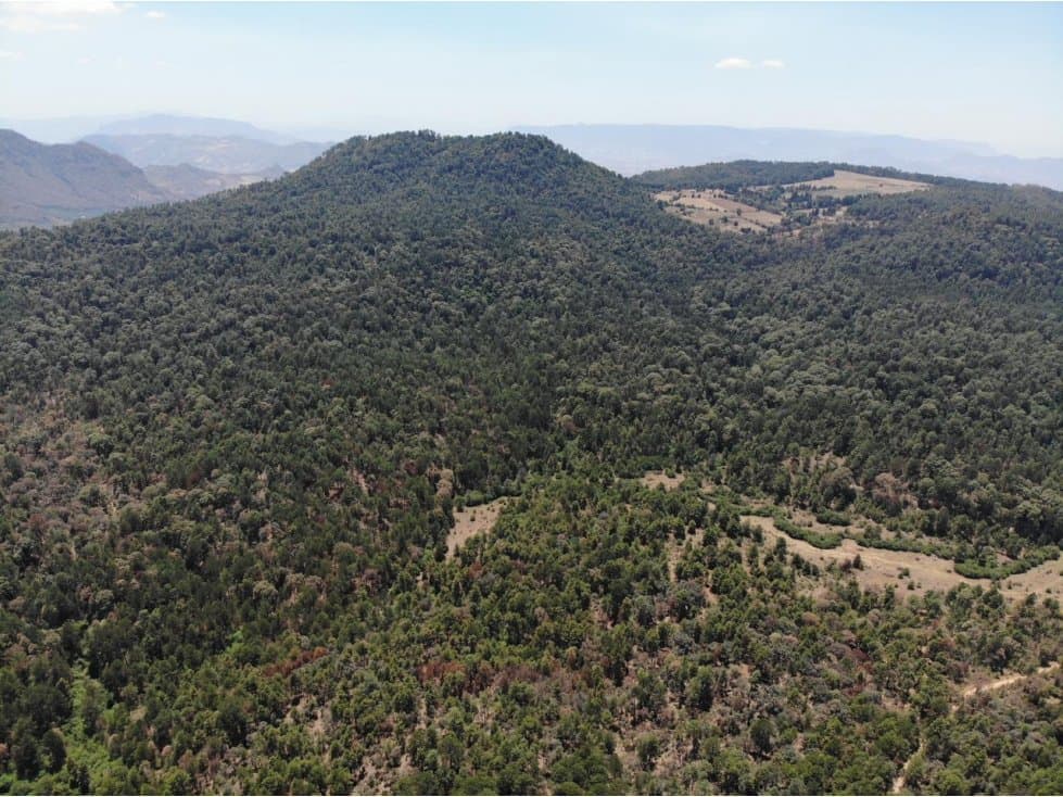 RANCHO EL CARRIZAL — foto 1
