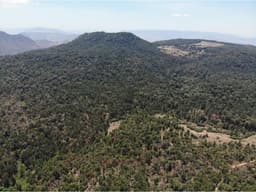 RANCHO EL CARRIZAL