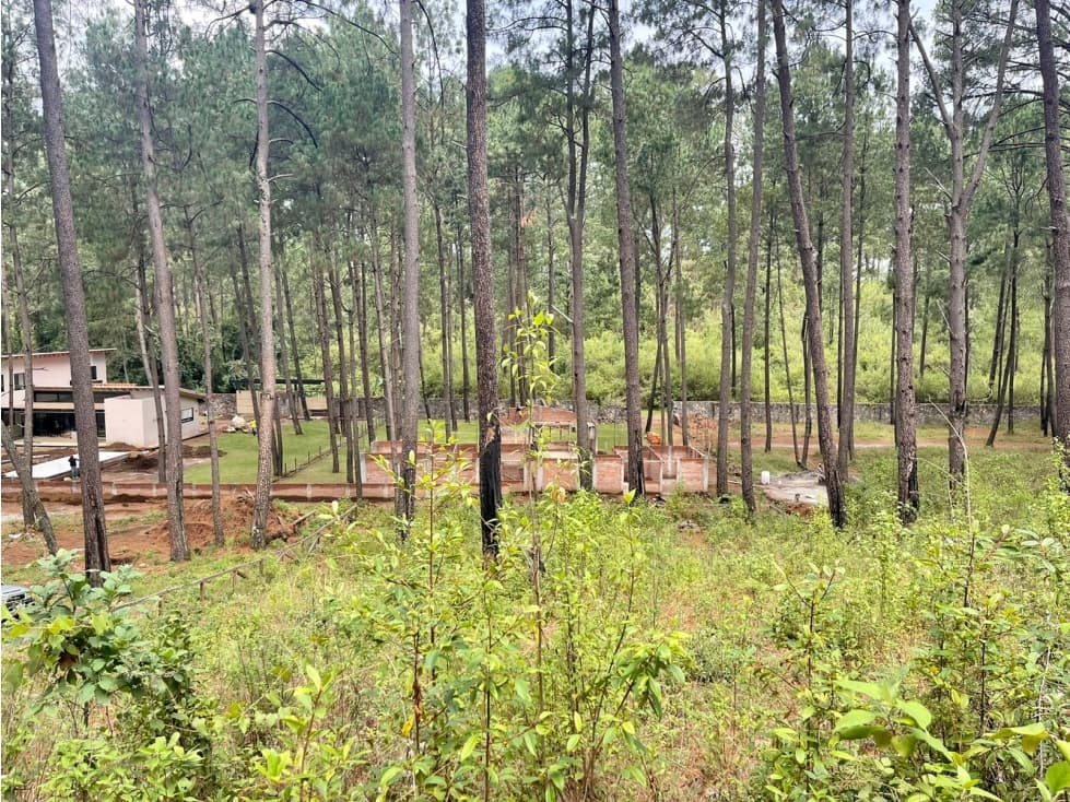 TERRENO EN VENTA CERRO GORDO — foto 5
