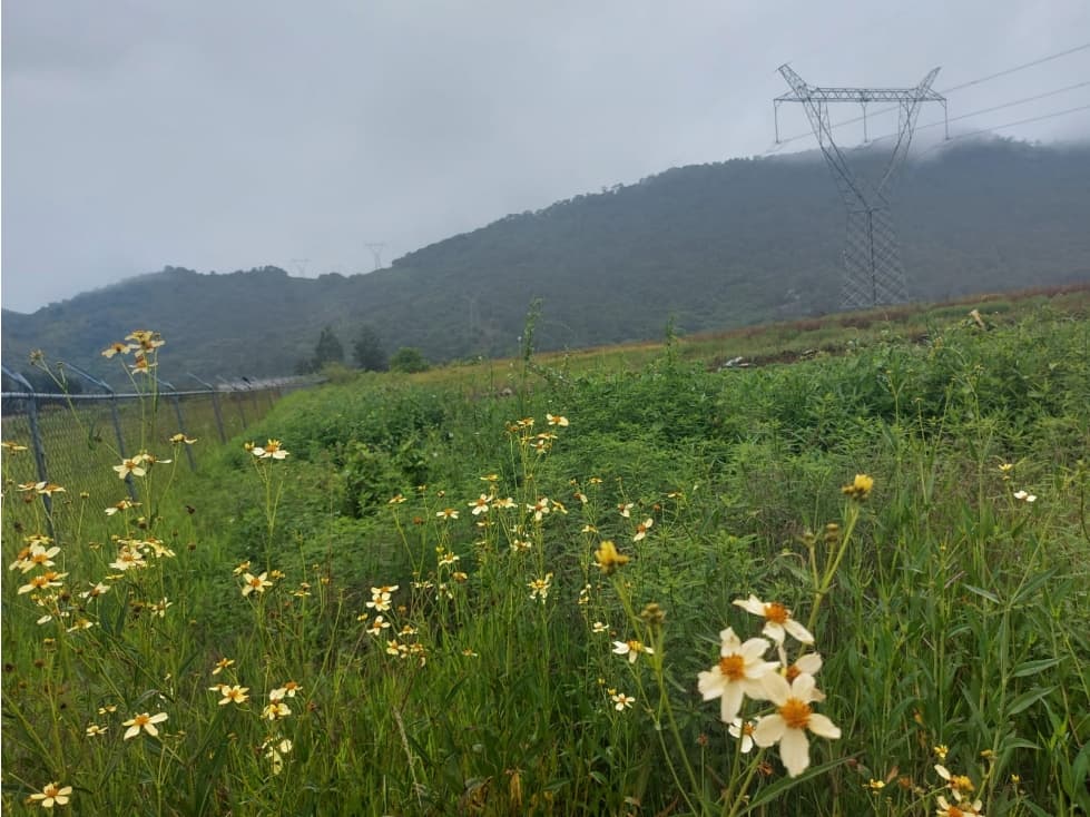 TERRENO EN VENTA TILOXTOC, VALLE DE BRAVO — foto 3