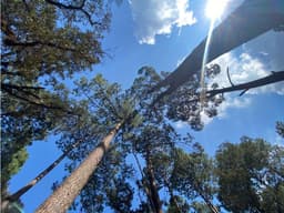 TERRENO EN VENTA EN AVÁNDARO, VALLE DE BRAVO