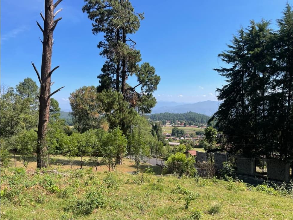 TERRENO BOSCOSO EN CERRO GORDO — foto 2