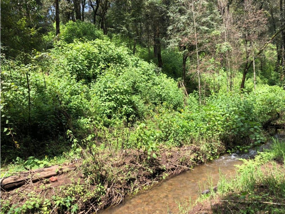 TERRENO SAN SIMÓN — foto 5