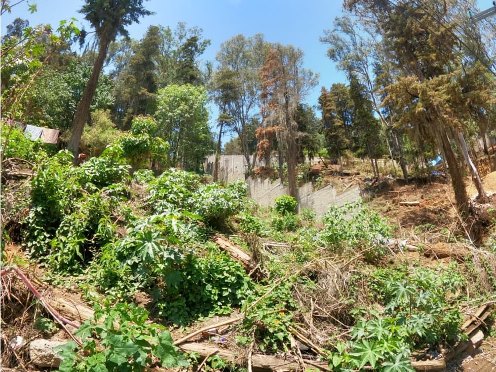 PREDIO EN LA PEÑA — foto 2