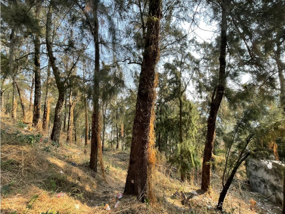 TERRENO EN LA PEÑA, VALLE DE BRAVO — foto 5