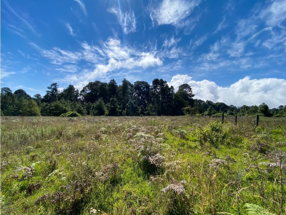 TERRENO EN VENTA EN VALLE DE BRAVO, PINAL DEL MARQUESADO — foto 5