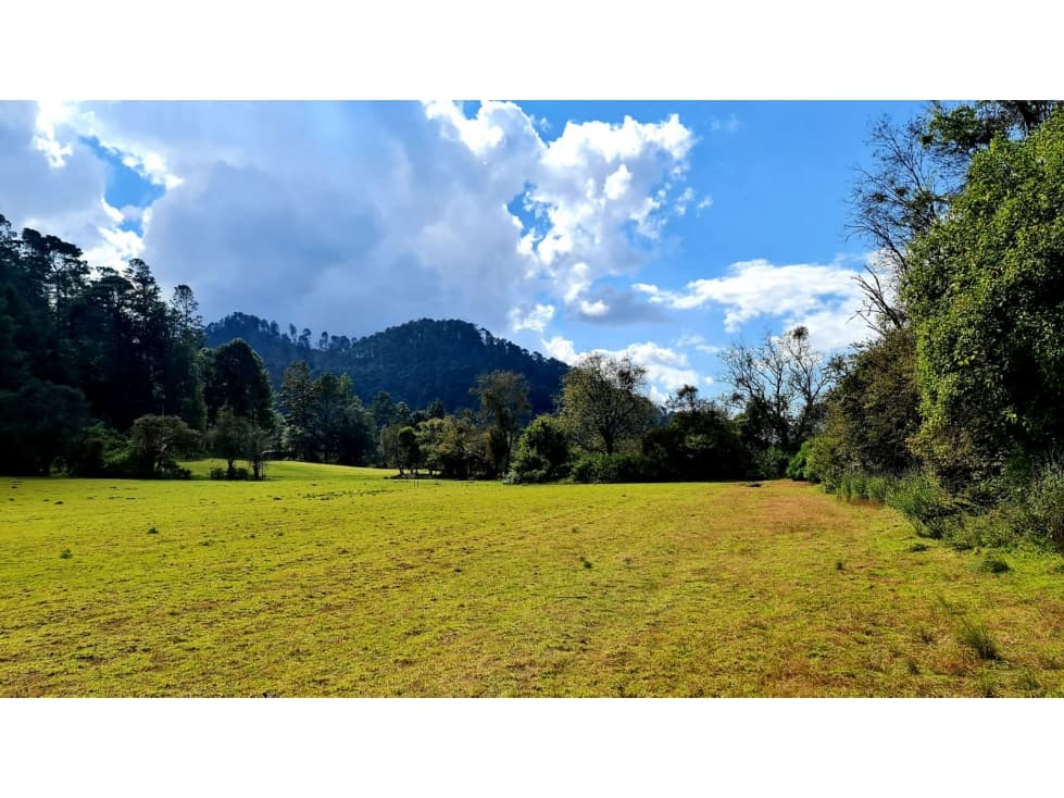 TERRENO RODEADO DE BOSQUE EN AMANALCO — foto 5