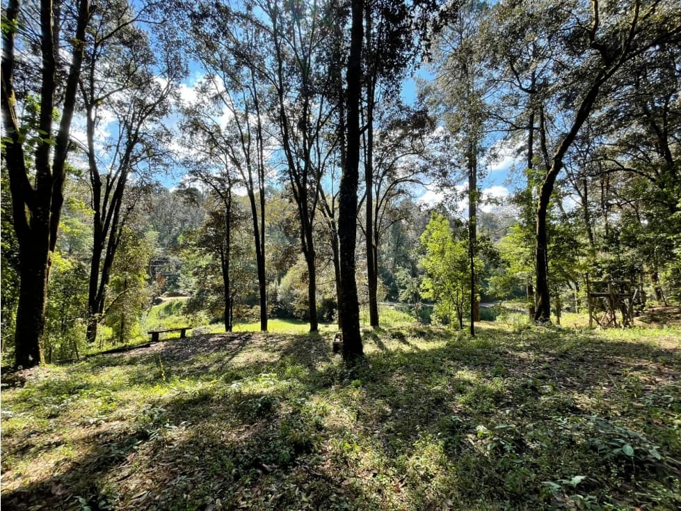 TERRENO RANCHO AVANDARO — foto 1