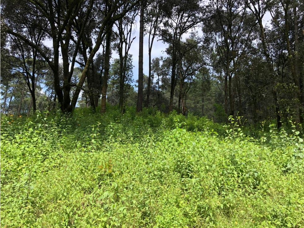 TERRENO SAN SIMÓN — foto 6