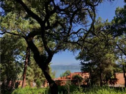 TERRENO EN AVANDARO CON VISTA AL LAGO