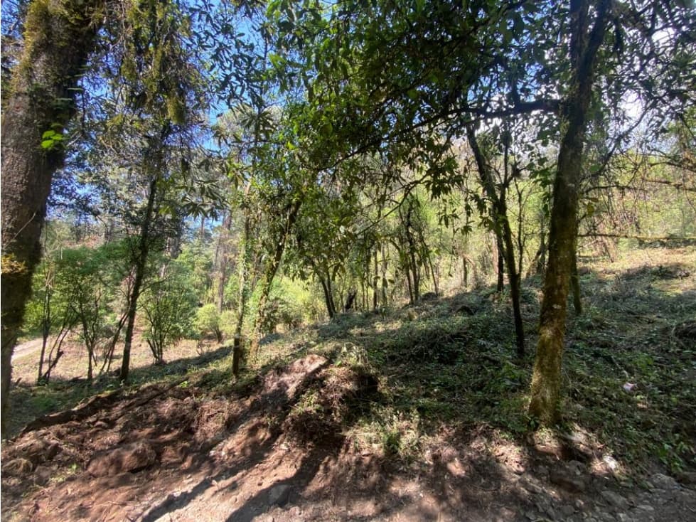 TERRENO RANCHO SAN SIMÓN, LOTE 33 — foto 3