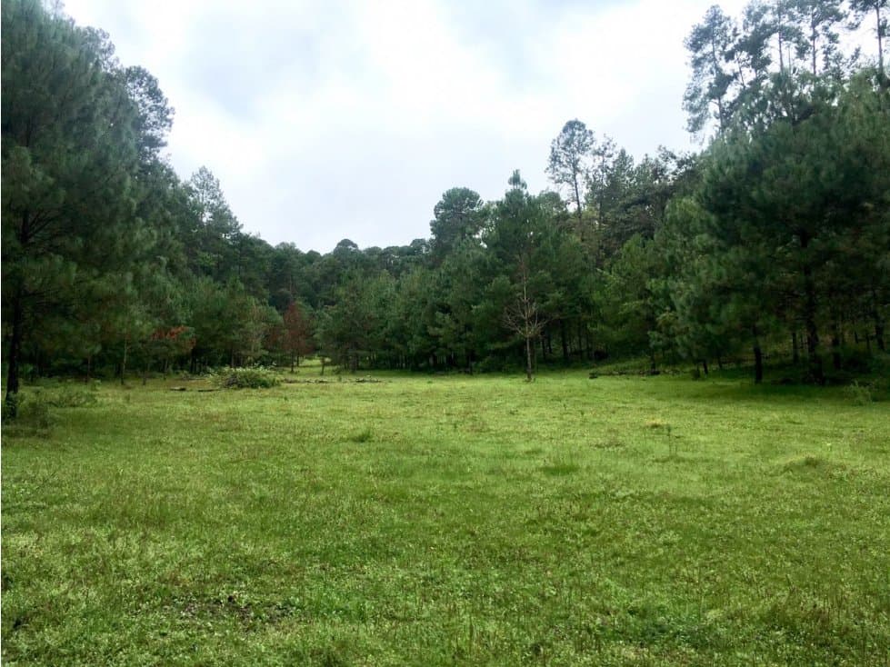 TERRENO PINAL DE OSORIO — foto 1