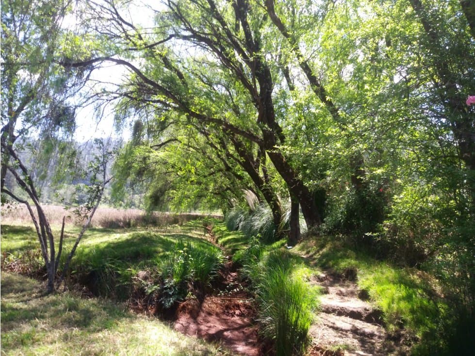 TERRENO AMANALCO POZAS — foto 6