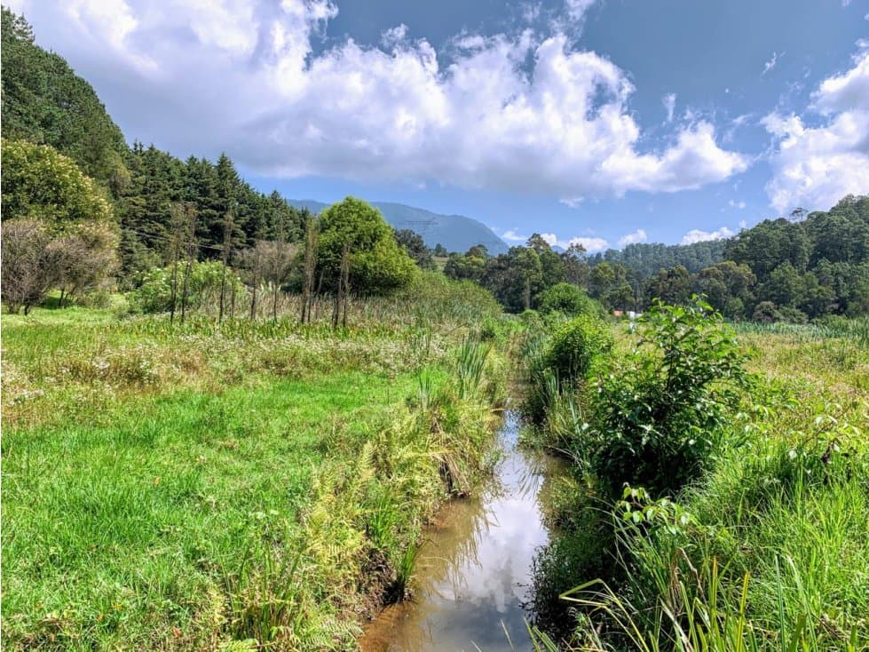 TERRENO AMANALCO POZAS — foto 1