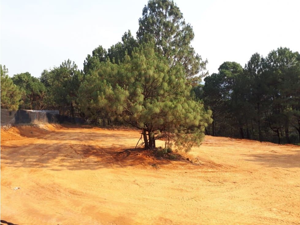 TERRENO EN VENTA CERCA DE AVANDARO — foto 4