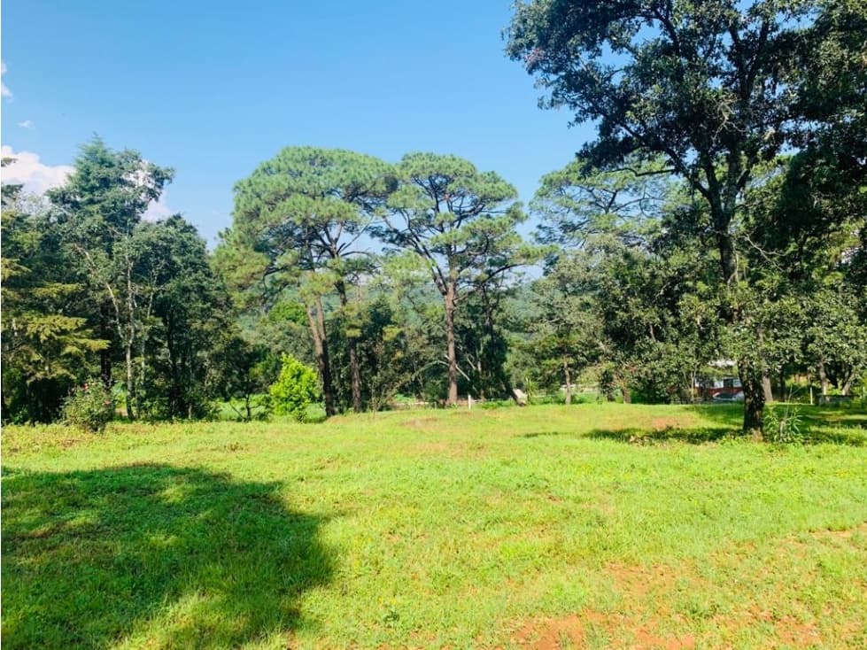 TERRENO EL PEDREGAL, AVANDARO — foto 1