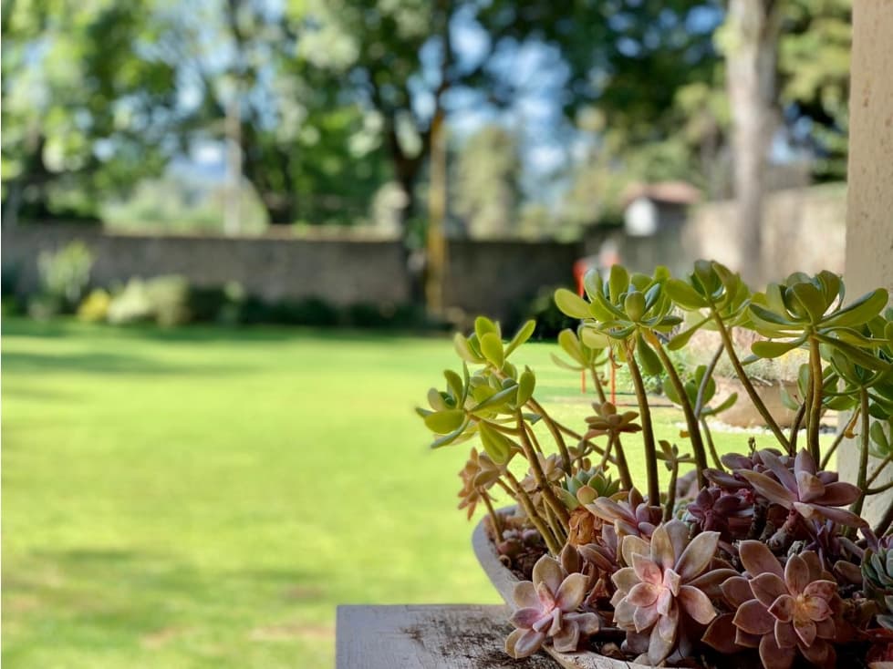 CASA VEGA DEL CAMPO — foto 4