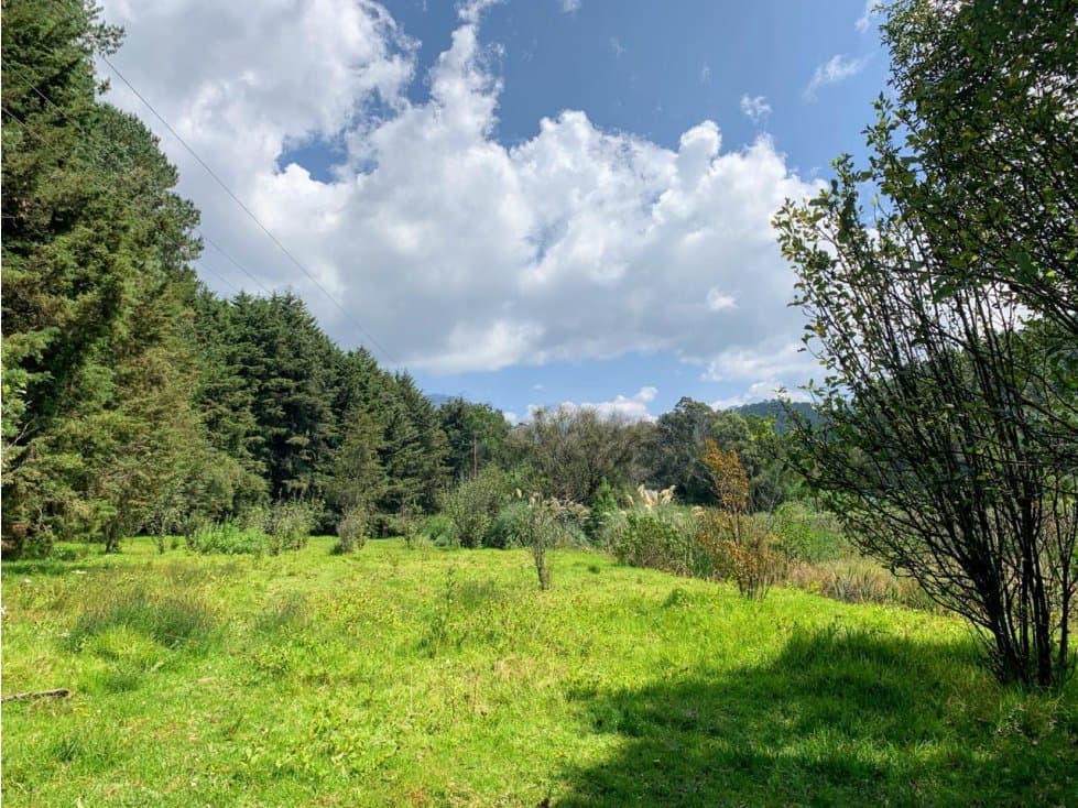 TERRENO AMANALCO POZAS — foto 2