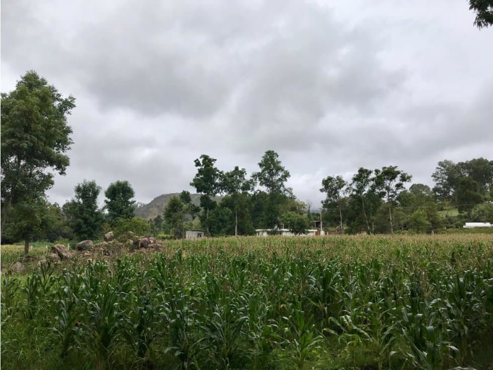 TERRENO EL RIÓ TILOXTOC I — foto 3