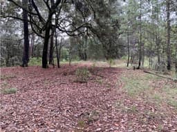 TERRENO LA LOMA