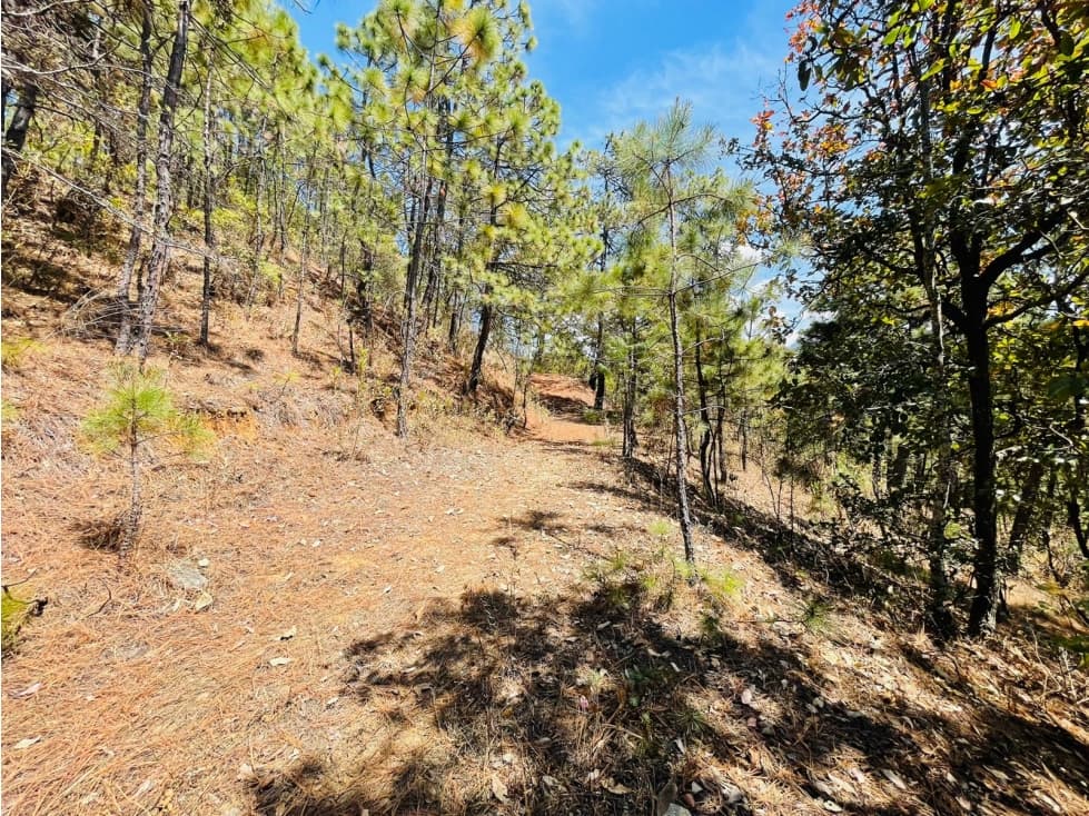 6 HECTÁREAS CERCA DE ACATITLÁN — foto 2