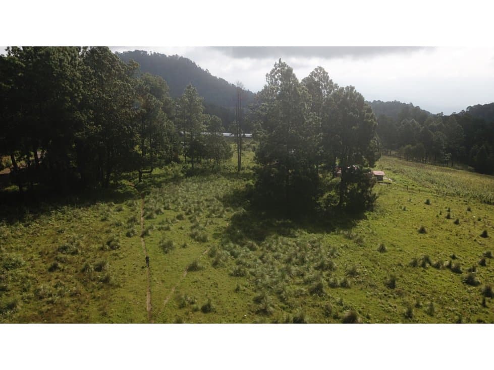 TERRENO MESA RICA — foto 6