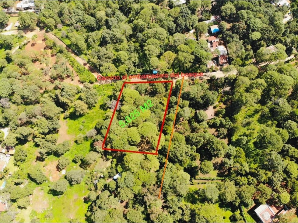 TERRENO BOSCOSO EN VENTA AVANDARO — foto 2