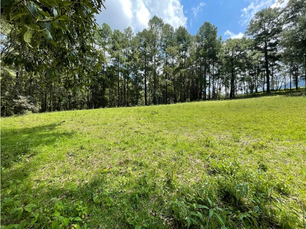 TERRENO CON RÍO EN VENTA EN SAN SIMÓN — foto 6