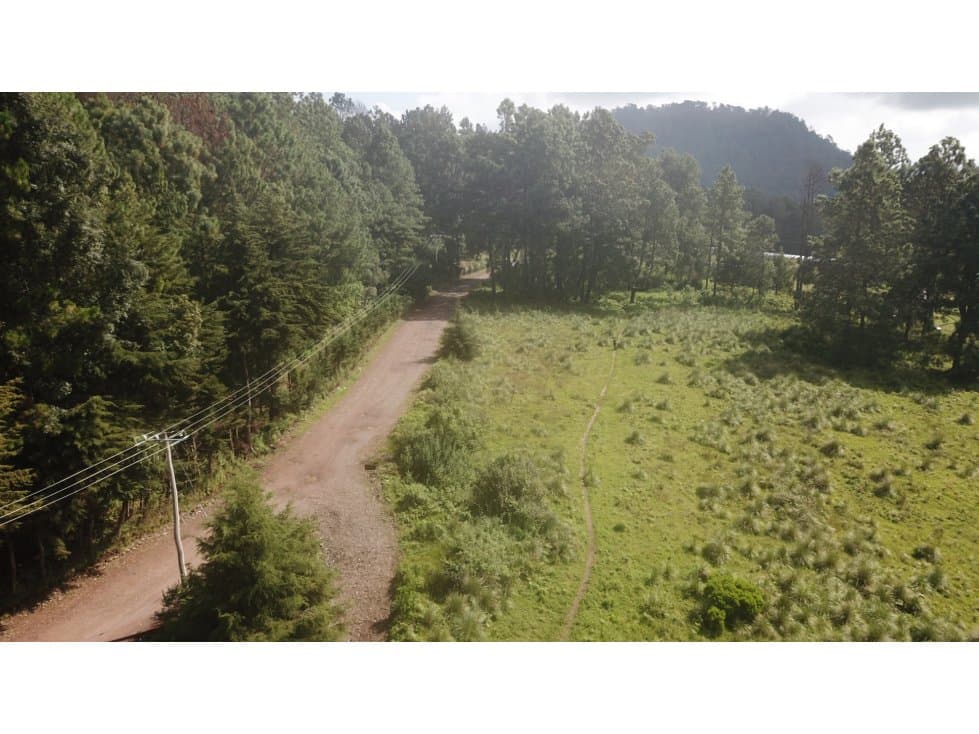 TERRENO MESA RICA — foto 2