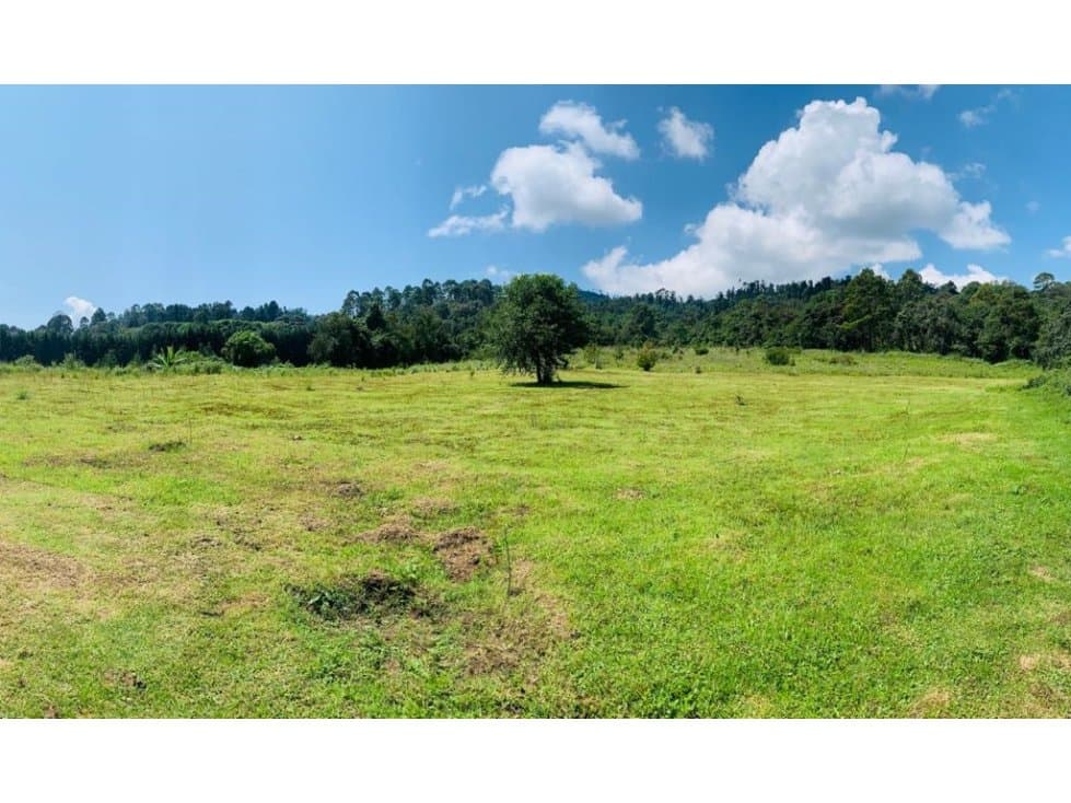PLANICIES LA CUADRILLA — foto 1