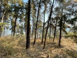 TERRENO EN LA PEÑA, VALLE DE BRAVO