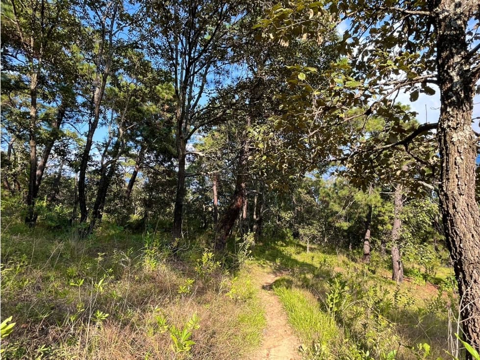 TERRENO EN VENTA EN EL CERRILLO, VALLE DE BRAVO — foto 6